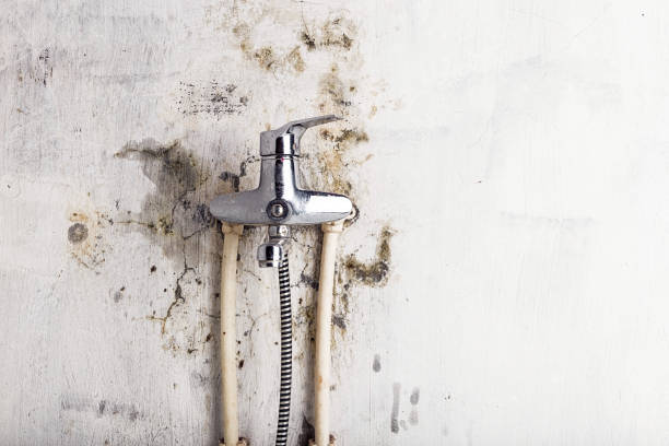 Best Water Damage Restoration  in New Knoxville, OH