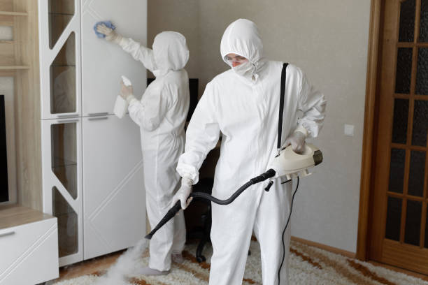 Mold Removal Process in New Knoxville, OH